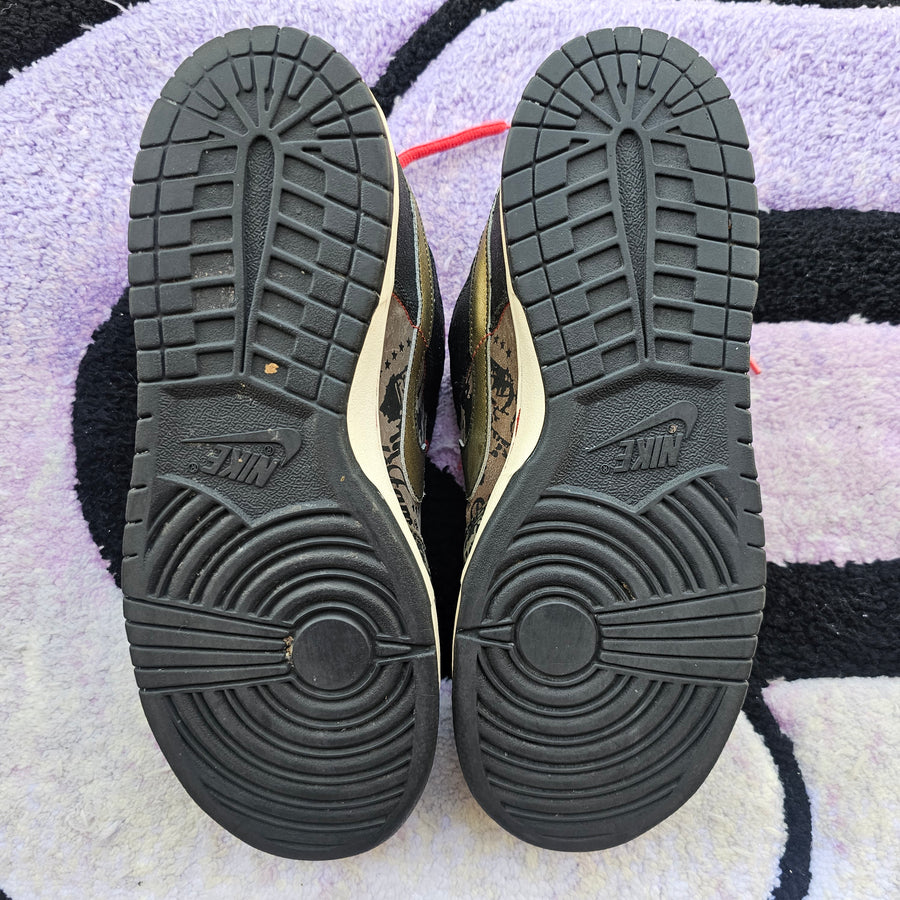 Nike Sb Low “SBTG” (Special Box) Size 11